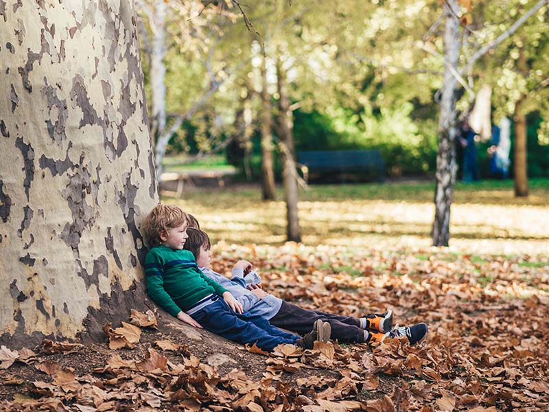 Kids Tree - Let’s talk it over… Blog